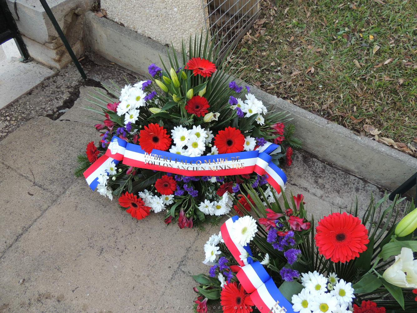 2017 12 05 TOULON HOMMAGE NATIONAL AUX MORTS POUR LA FRANCE EN AFN (8).JPG -           